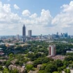 are there palm trees in atlanta