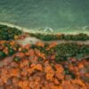places to go in november