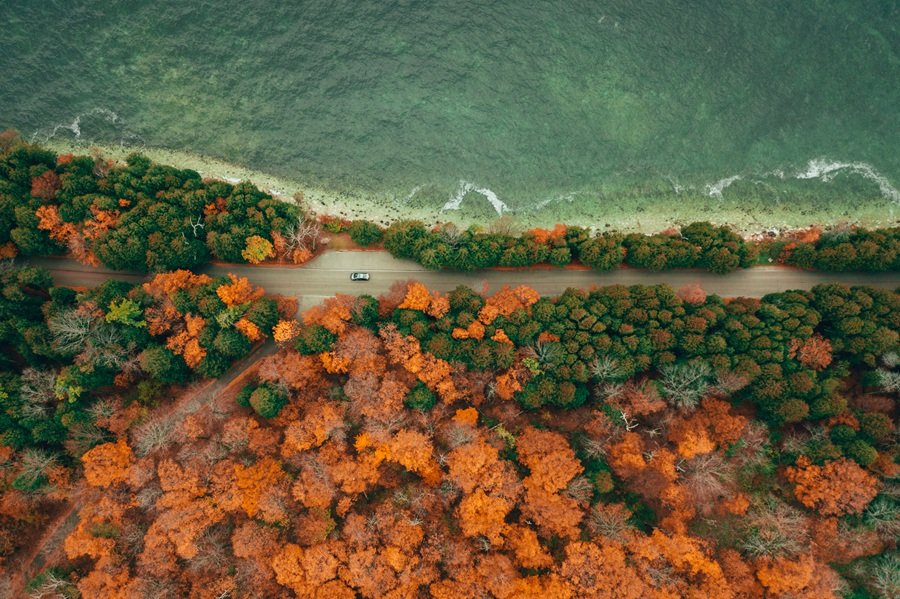 places to go in november