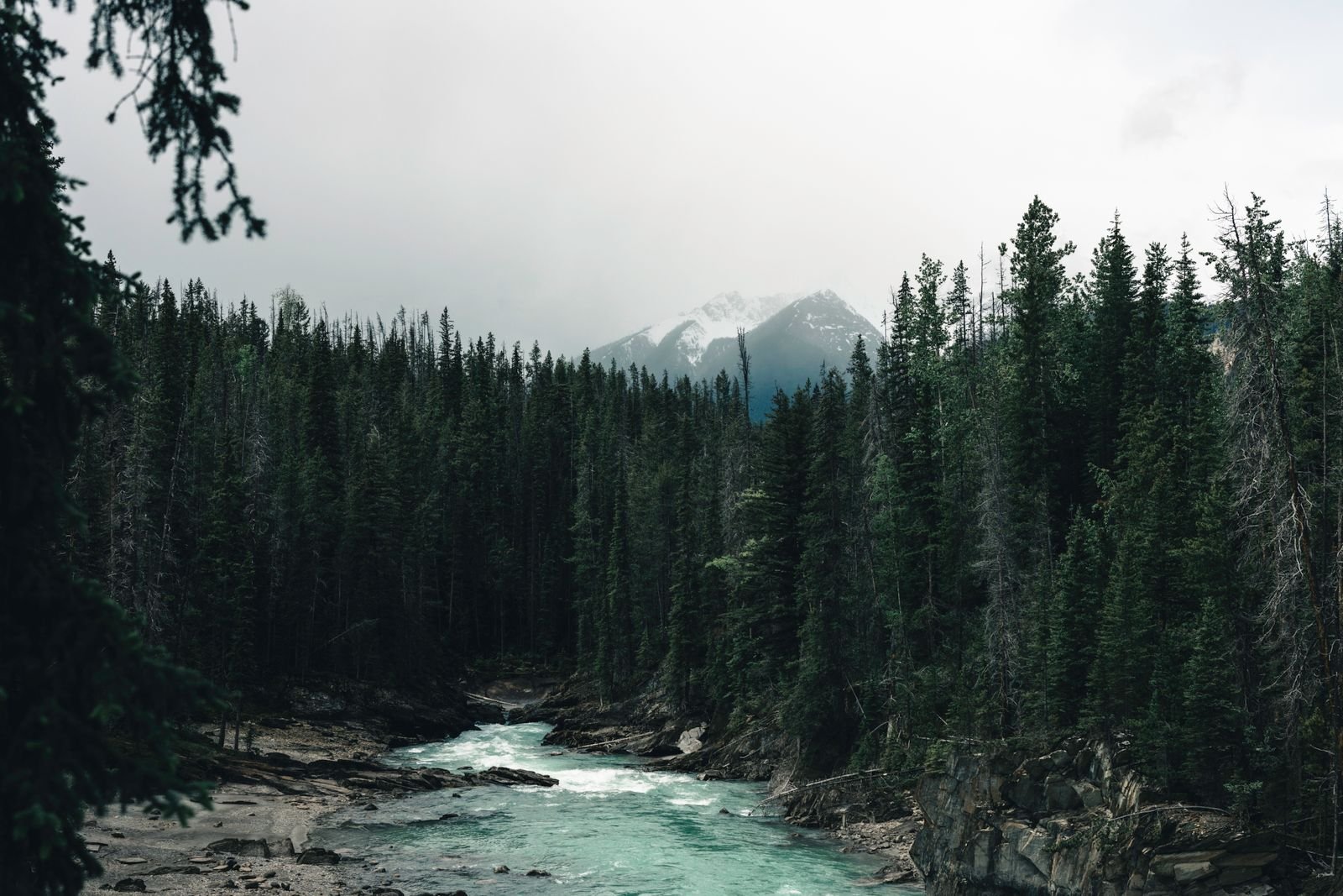 River winding through forested mountains in British Columbia