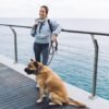 cruises that allow dogs