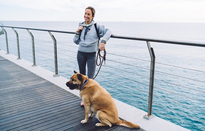 cruises that allow dogs