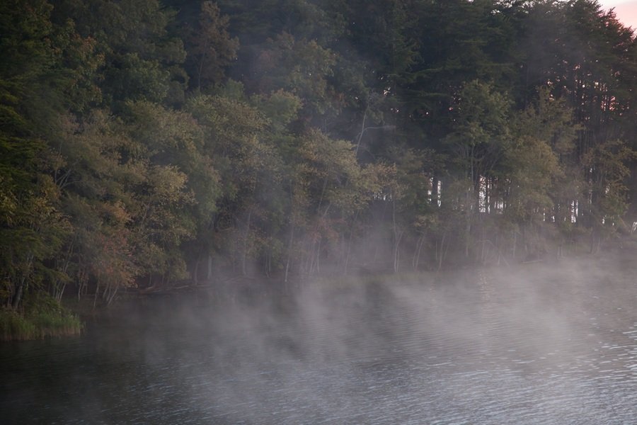 maple grove hot springs