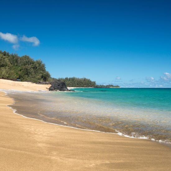 salt pond beach park
