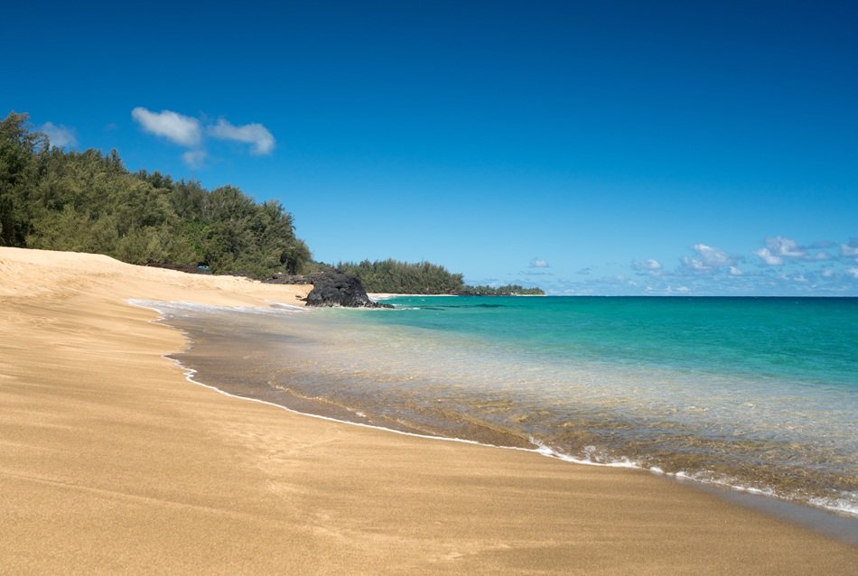 salt pond beach park