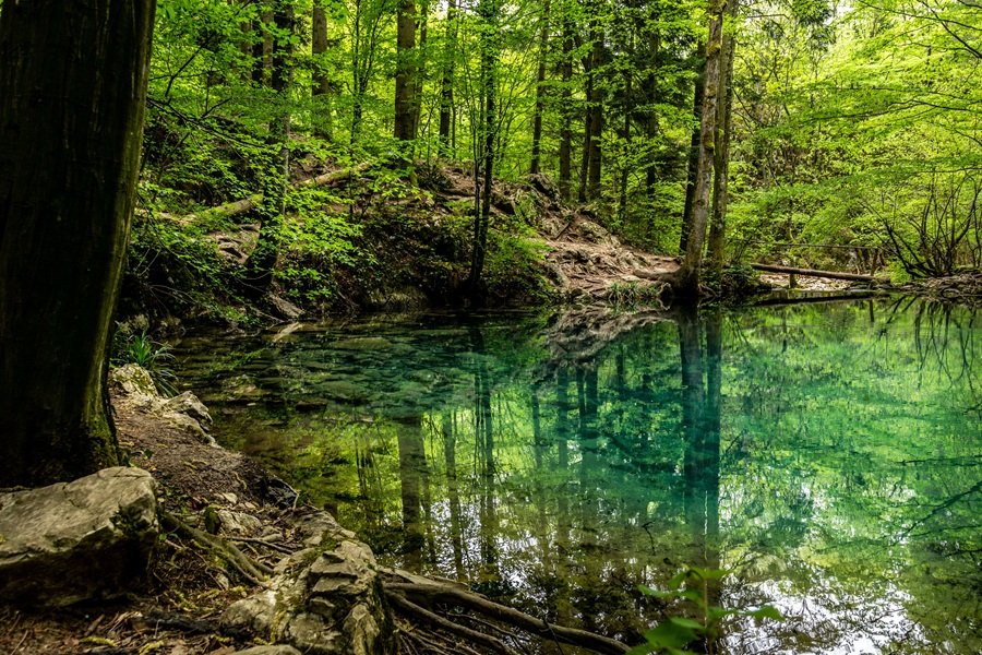 maramec spring park