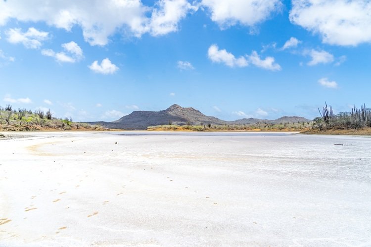 salt pond beach park