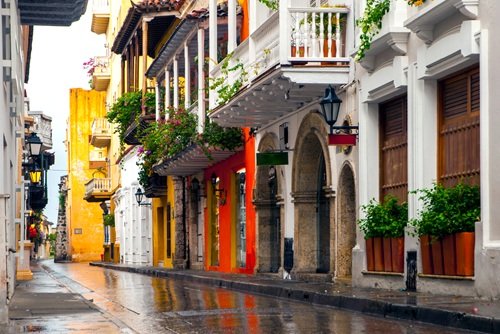 where to go in dec