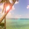 where to go in january