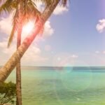 where to go in january