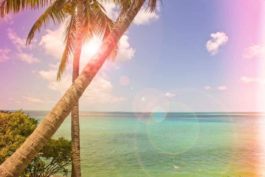 where to go in january