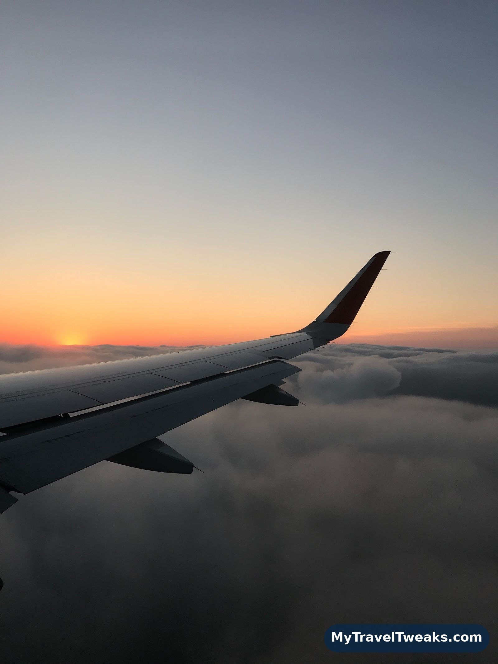 Airplane cabin seats in a row