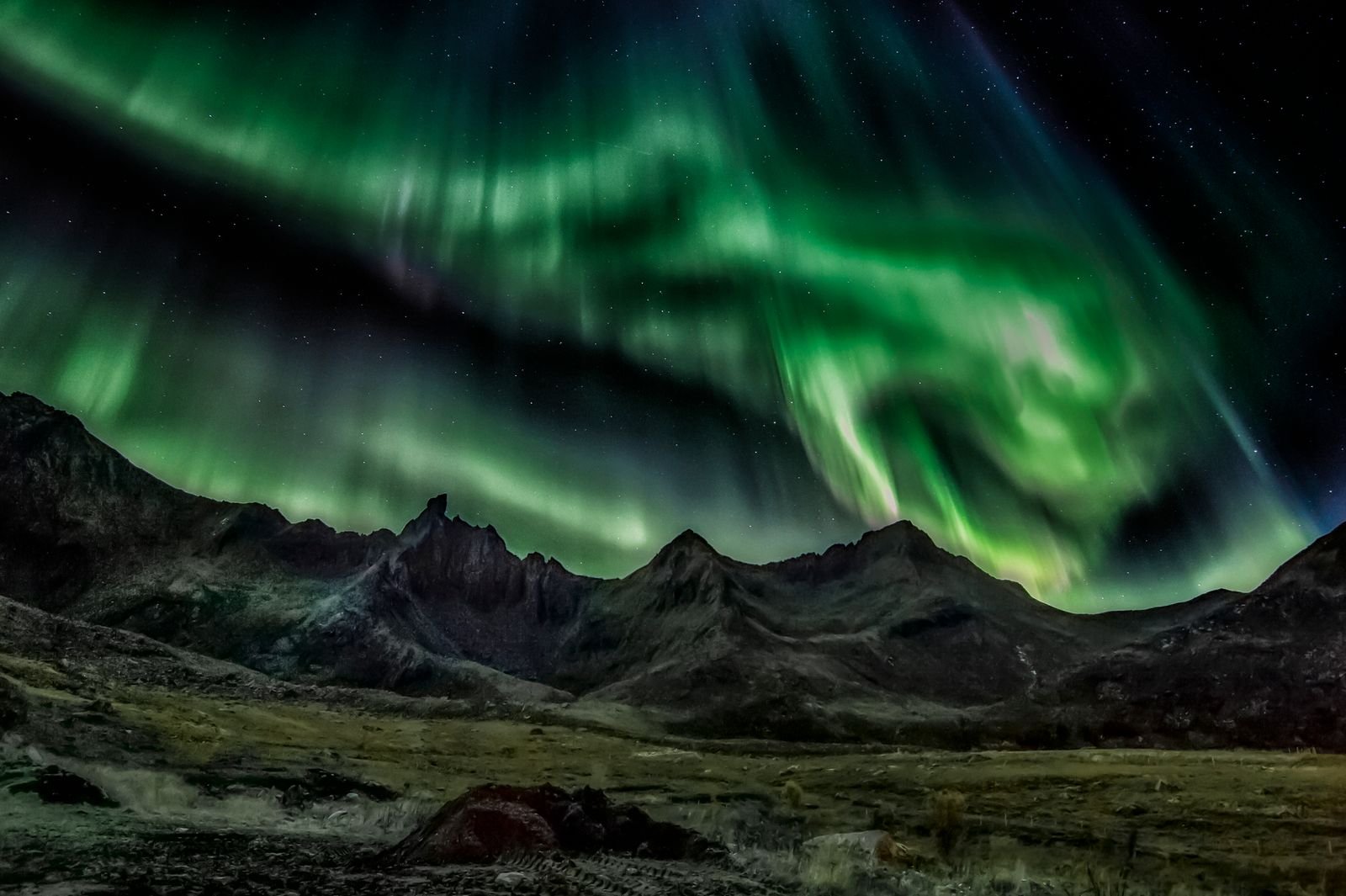 Aurora borealis glowing over a dark rural landscape